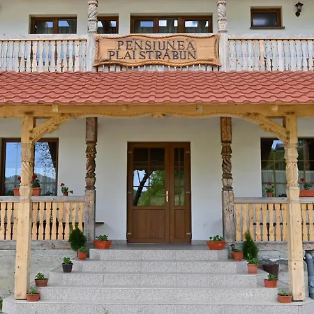 Pensiunea Plai Strabun Guest house Stramtura (Maramures)