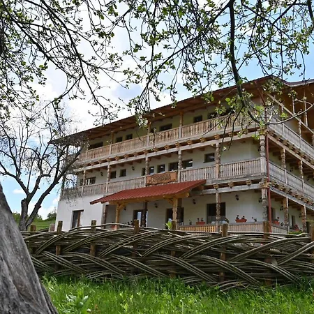 Guest house Pensiunea Plai Strabun