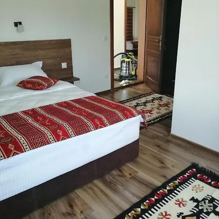 Guest house Pensiunea Plai Strabun *