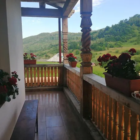 Pensiunea Plai Strabun Guest house Stramtura (Maramures)
