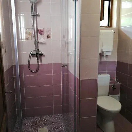 Guest house Pensiunea Plai Strabun