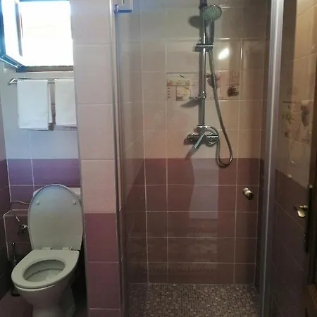 Guest house Pensiunea Plai Strabun *