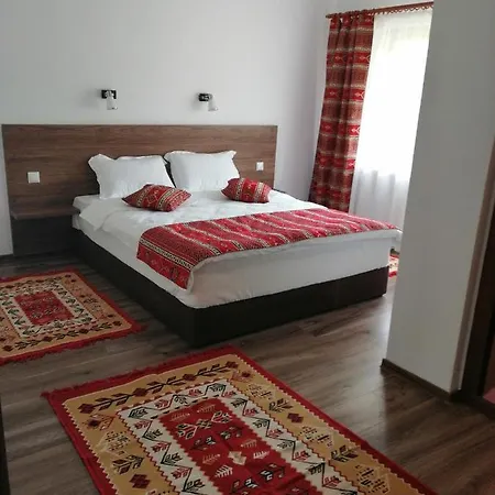Guest house Pensiunea Plai Strabun *