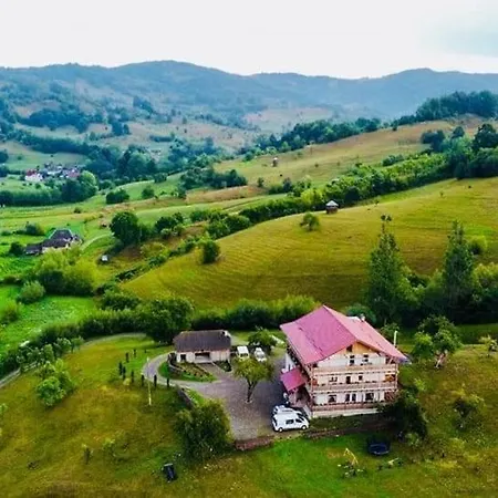 Pensiunea Plai Strabun Guest house Stramtura (Maramures)